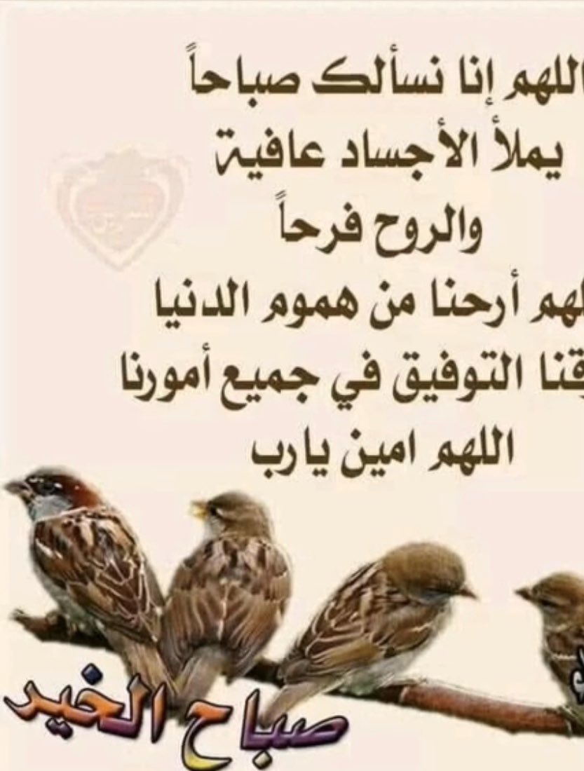 am_d70om's tweet photo. https://t.co/P8YewKVWXA