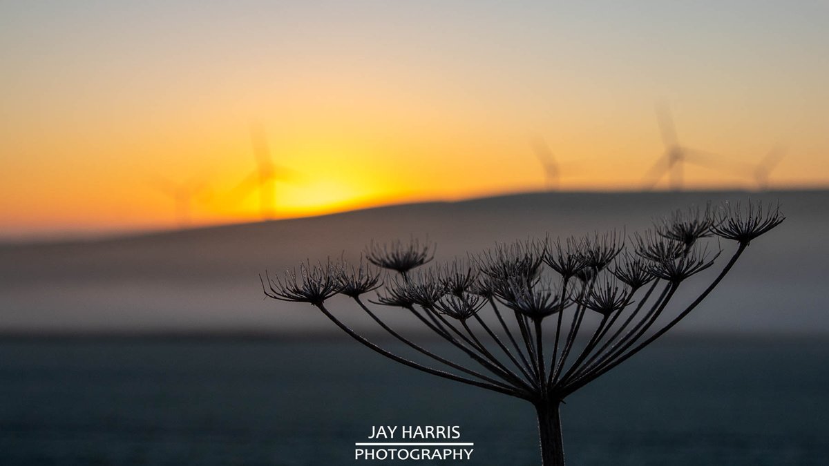 JayHarrisPhoto1's tweet image. A beautiful morning yesterday and a drive to work that took me past #denbrook #windfarm (there might be some more photos of Roadford Lake later😀). 

facebook.com/jayharrisphoto…

Not everyone likes them but I love a good #windturbine!
#devon #sunrise #photography
