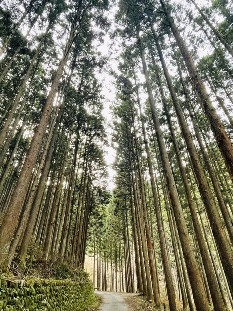 FXit2sh0mH6jNDH's tweet photo. 山の時間 おわり
次の癒しへ
#トレイルラン
#海沢三滝
#三ッ釜ノ滝
#ネジレノ滝
#奥多摩温泉もえぎの湯
#PORTOKUTAMA https://t.co/FzbV07xCS2