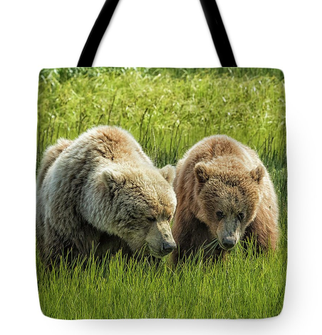 BelindaGreb's tweet image. Just after this peaceful scene, mom thwacked the cub for taking a bite of grass from her area. Cub sulked. belinda-greb.pixels.com/featured/eatin…
#photography