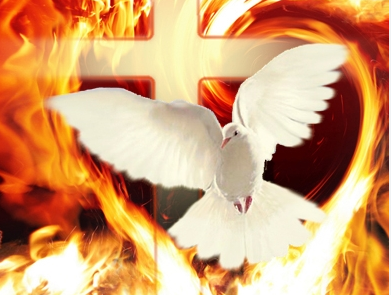 kimcuc99's tweet photo. God bring peace https://t.co/IUx7u0CQv6
