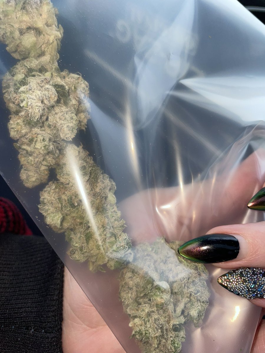 qnp's tweet photo. Merry Kushmas BC 🤶🎄 @cannachariti 🫶🏻🎀 https://t.co/FiU3tKq1fQ
