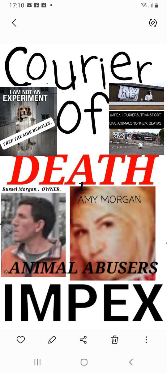 Sonia569442951's tweet photo. #russelmorgan #amymorgan #impexcouriers #animalabuse #couriersofcruelty #islip #animaltesting https://t.co/1sW6LLRWpg