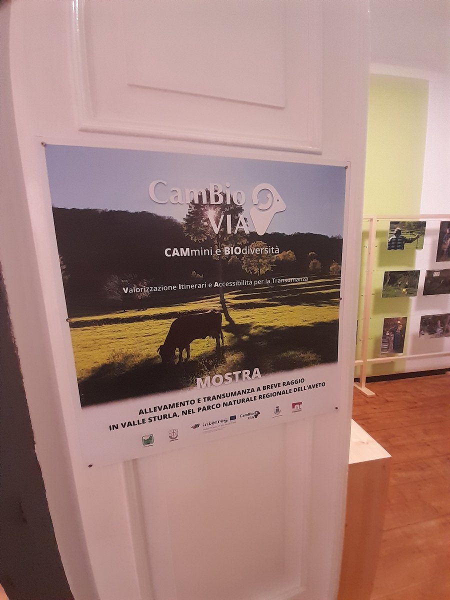 PARCO_AVETO's tweet photo. Inaugurata ieri in @ComunBorzonasca presso lo IAT @ValliParcoAveto la mostra sulla transumanza a breve raggio, fatta realizzare da #parcoaveto nell'ambito del progetto @pc_maritime #CambioVia e curata da Adele Repetto, con la collaborazione delle famiglie degli allevatori locali https://t.co/VzaXJDyCDu