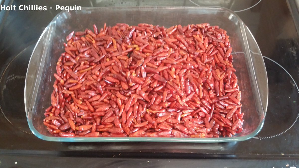 ChilliesHolt's tweet photo. Finally got round to drying these little buggers out. That should keep us going for another year. Have a good Christmas everyone! :-) #Pequin #chillies https://t.co/8vS5yNkBGC