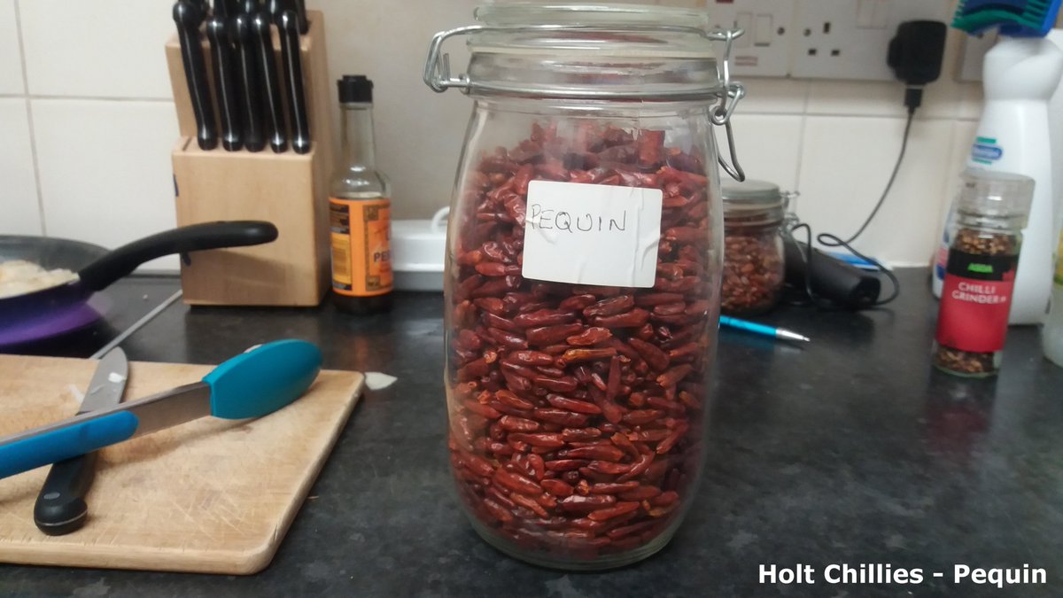 ChilliesHolt's tweet photo. Finally got round to drying these little buggers out. That should keep us going for another year. Have a good Christmas everyone! :-) #Pequin #chillies https://t.co/8vS5yNkBGC