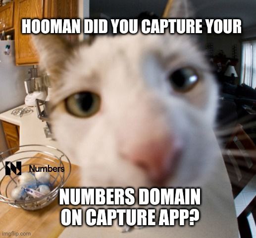 crypticRizu's tweet photo. Hey what dog doin'?
He insists you take a #Capture of your Numbers Domain
(once you get it, write it down on a paper and use @captureapp_xyz )
#NumbersMainnetAwesome #ItsMyNumbersDomain #domains https://t.co/Q69dJXZBeQ