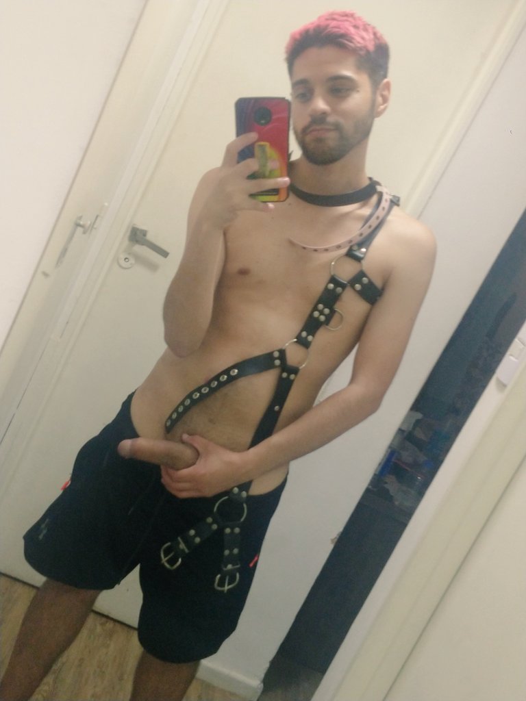 Don Pijote tweet media