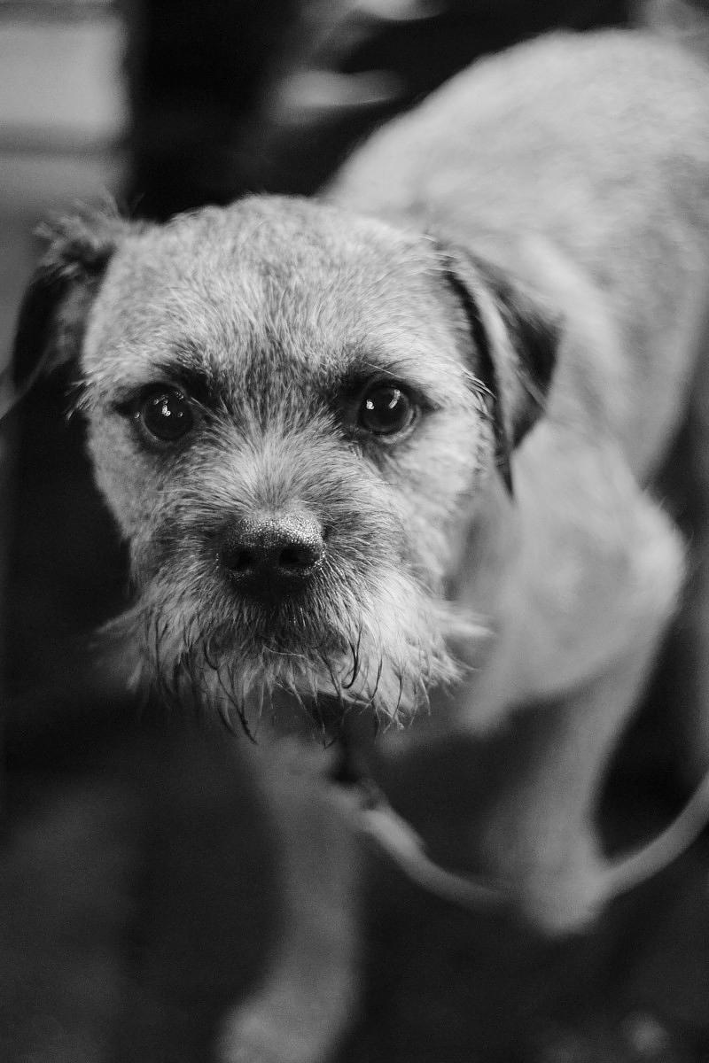 Some recents shots up on the site today phot.dk/o9N5/M