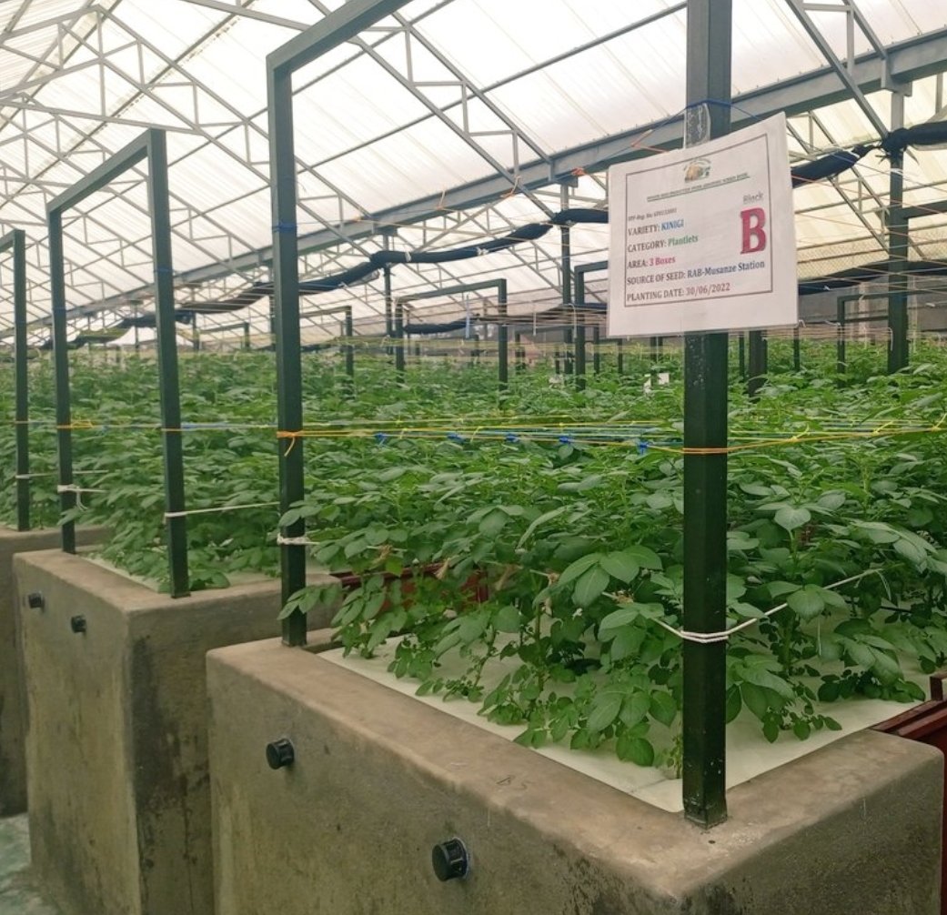 Patrick Karangwa, PhD tweet media