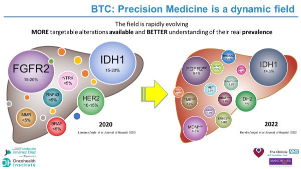 Impressive how quickly things are changing for #PrecisionMedicine in #BiliaryCancers! Congrats to @ArndtVogel for their recent work. 
👍🏻More targets (wide NGS panel 🙏)
‼️fFGFR not as frequent as we thought! 
(I could not resist to create this slide for my next presentation… 😉)