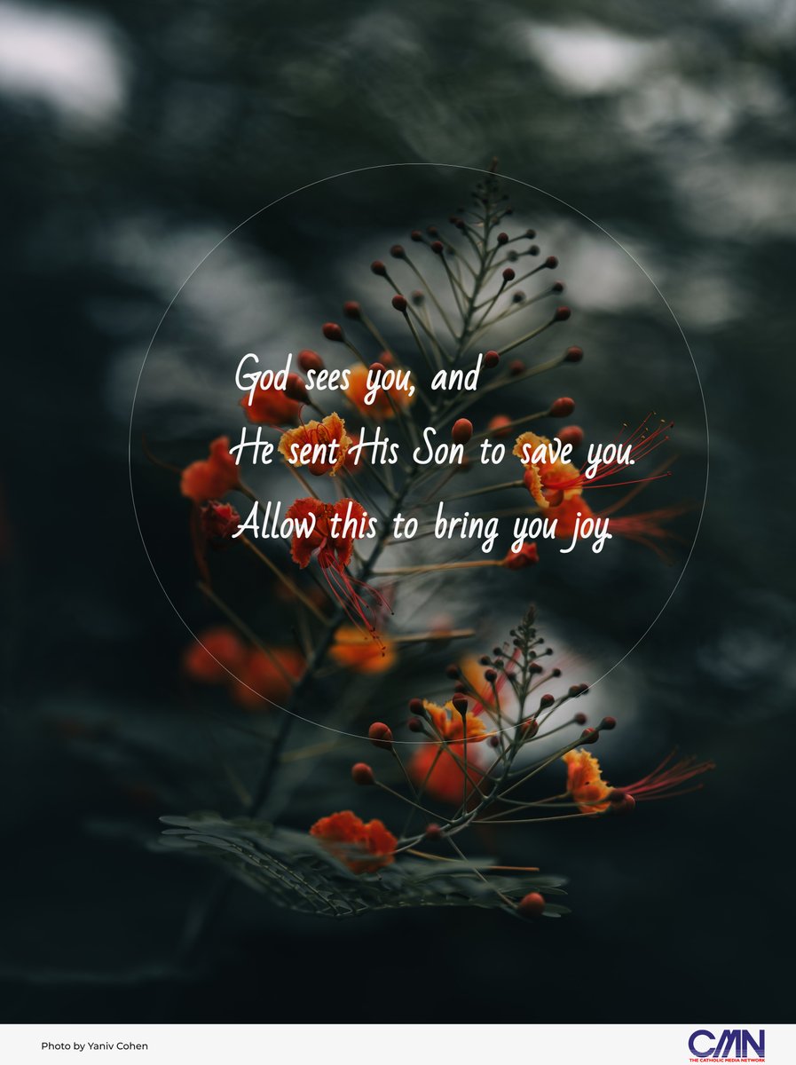 #GodSeesYou, and He sent His Son to save you. Allow this to bring you joy.

#blessedchristmas #BlessedSunday
