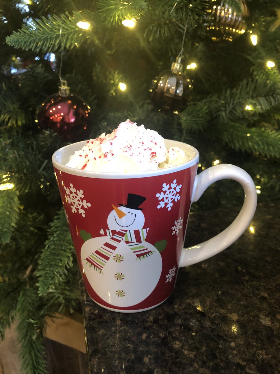 Christmas Eve coffee…splash of peppermint schnapps, a heavy splash of kahlua, and everything else you see right there🎄 I took this out for a test drive and we’ll be seeing it again over Christmas! #weekend #holidayfun #holidaydrinks #RomanceReaders