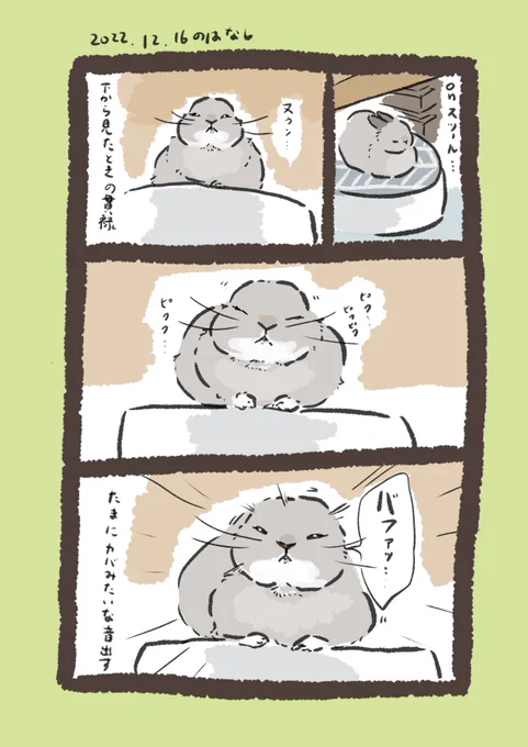寝rabbit…

#うさぎのいる生活 
