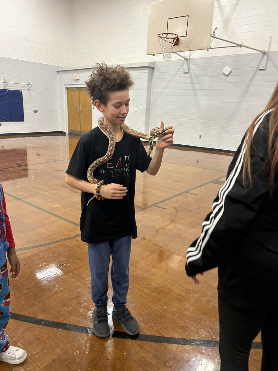 WozSquad's tweet photo. Shoutout to @chimbopta they sponsored our visit from some really cool #reptiles after we read the book #venom https://t.co/QiOFALUrFT