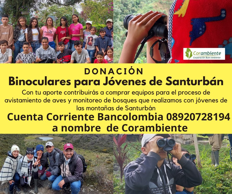 RICARDO ESLAVA tweet media