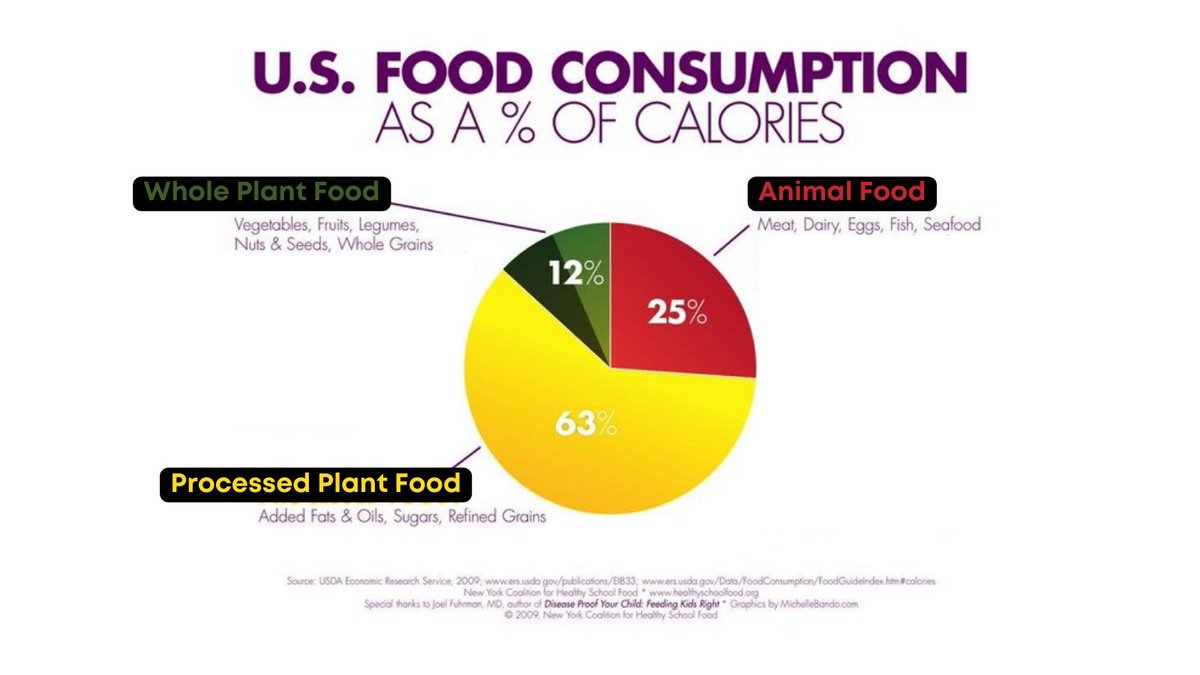kevinstock12's tweet photo. The average American — overweight, insulin resistant, on 2+ prescription medications — is already eating a plant-based diet. https://t.co/2Om92pO26C
