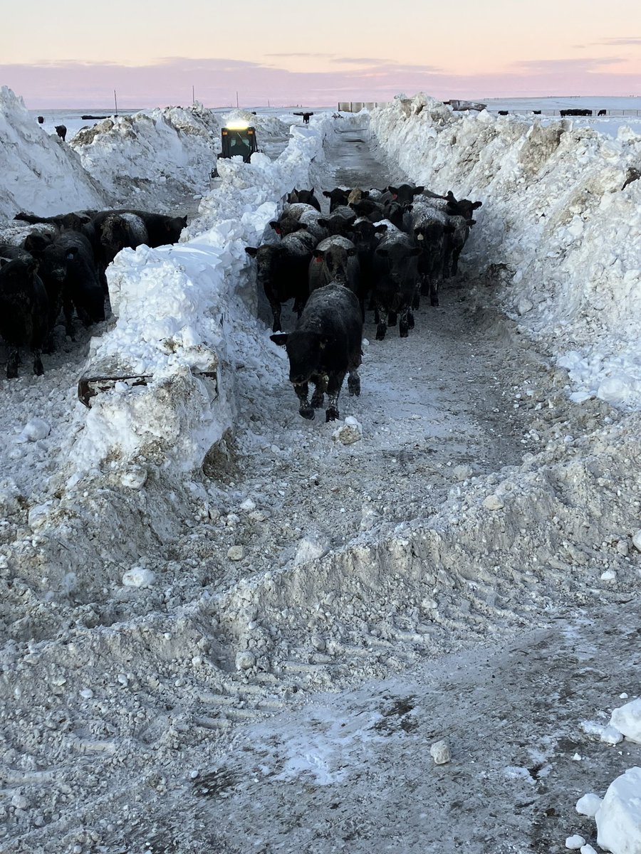 without labor, nothing prospers tweet media