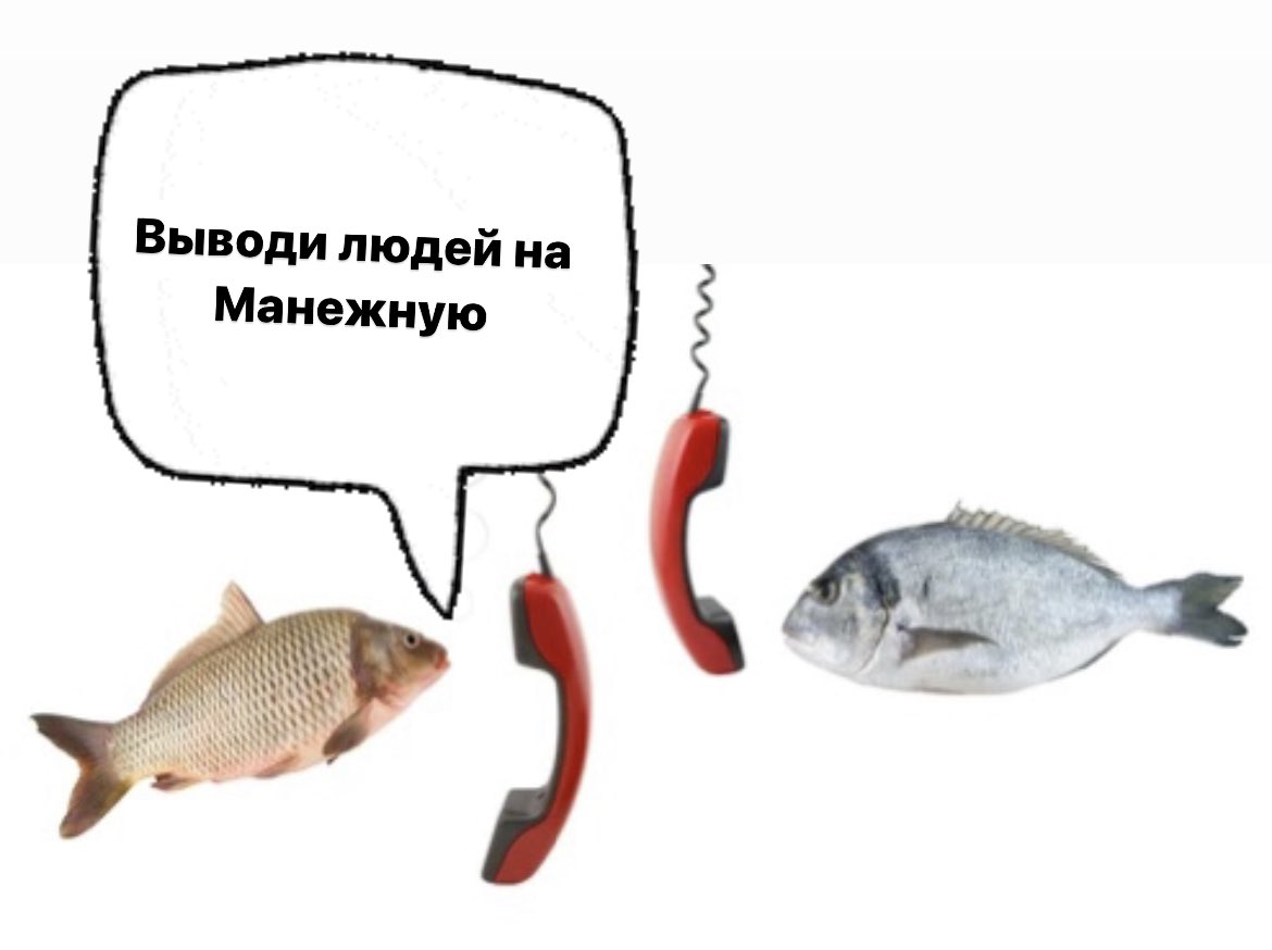pelpns's tweet photo. @aldidkovskaya https://t.co/o4QrFj4Vw4