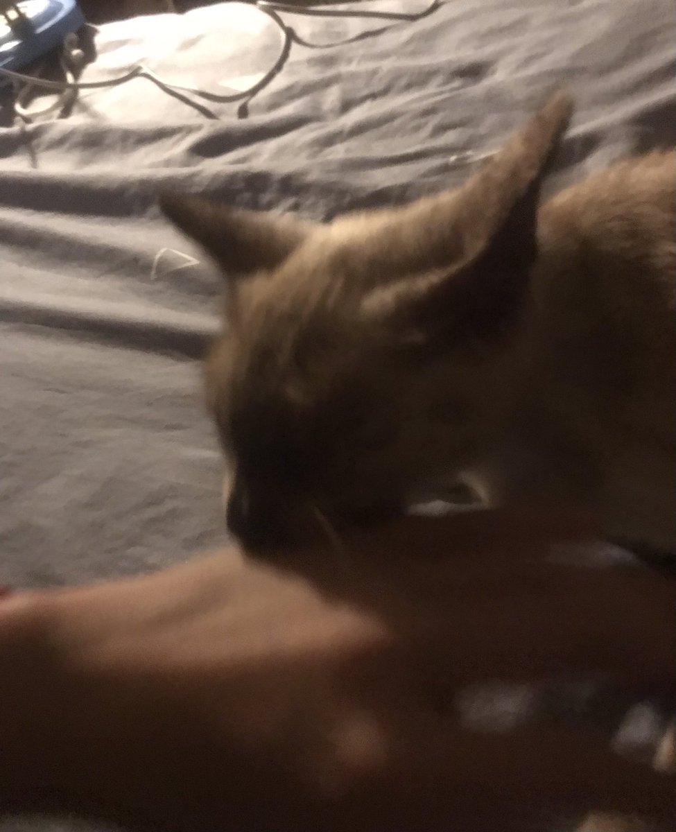 มือพ่อค้าเหมือนตีนไก่เลย