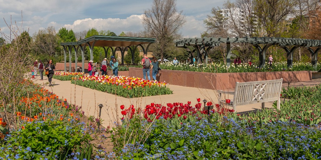 denverbotanic tweet picture