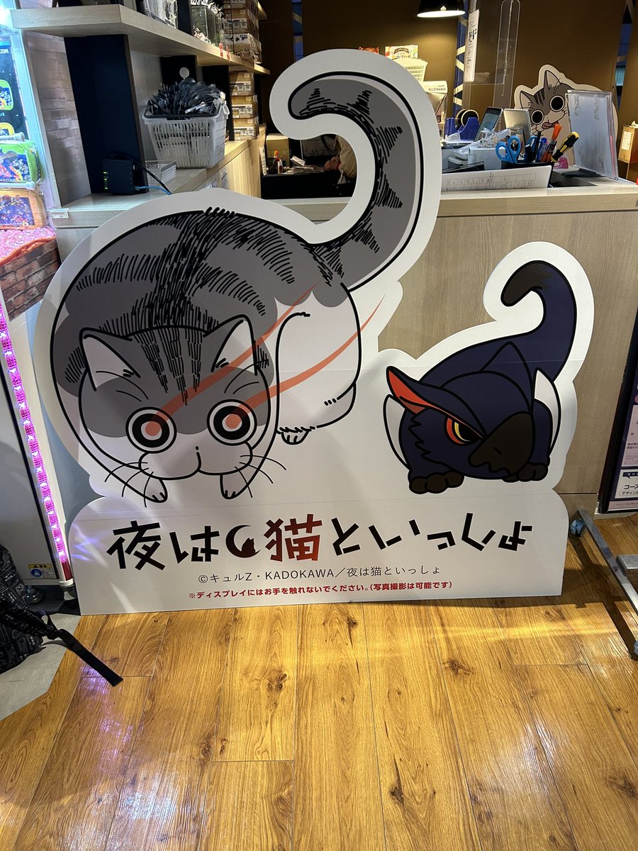 Sn8NnCat3's tweet photo. 大好きなキュルガのカフェに来ました🐱 https://t.co/KclHBVvO8u
