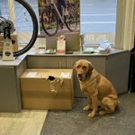 Photo by York Cycleworks (@YorkCycleworks)