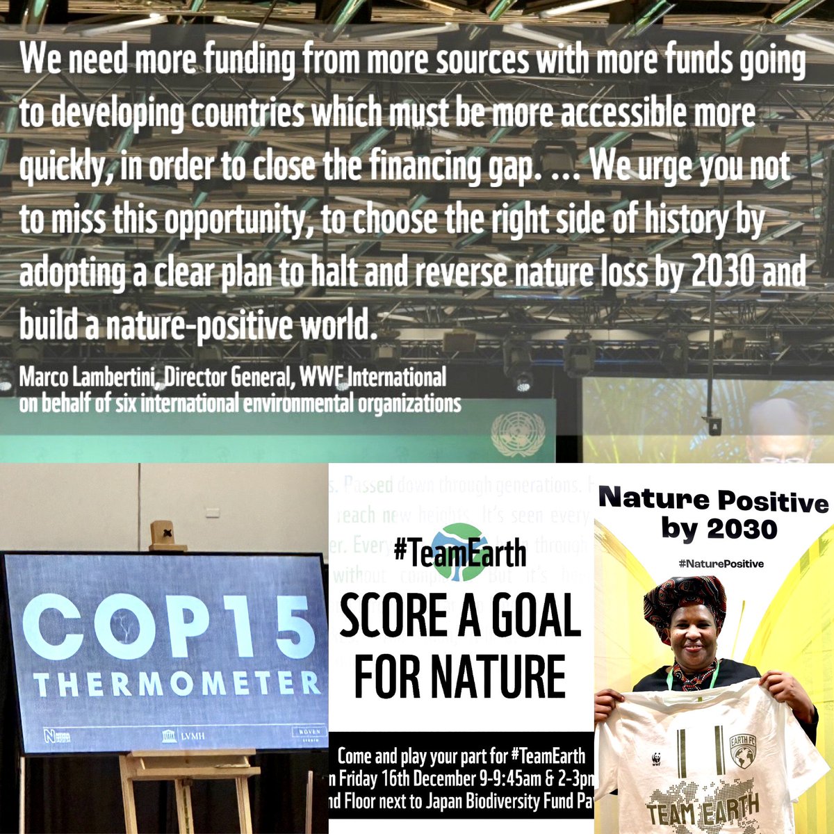 aruhweza's tweet photo. Negotiations are reaching the very final stages here in Montreal .. The #COP15thermometer is running and the message from @WWF and partners remains clear .. We need #morefunding from #moresources & #moreaccessible #morequickly !
Letโs #score a #goal #fornature!
#TeamEarth https://t.co/MvJ5scIb1F