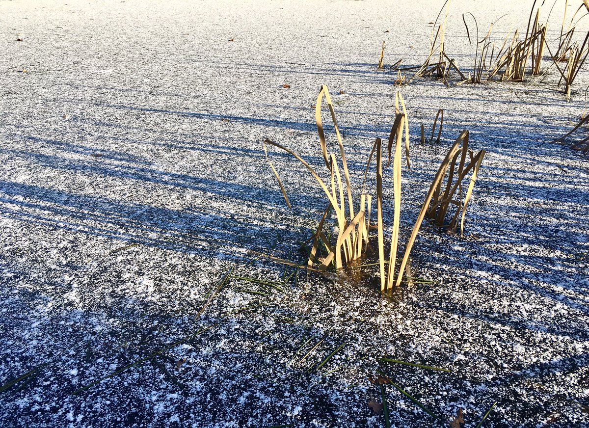 SaschaACB's tweet photo. Winter vibes…#NaturePhotography https://t.co/UGOoyJpuwc