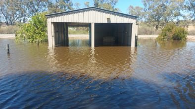 JAdamsSSDD's tweet image. Oh deary me……#adamsrepublicofcaurnamont….