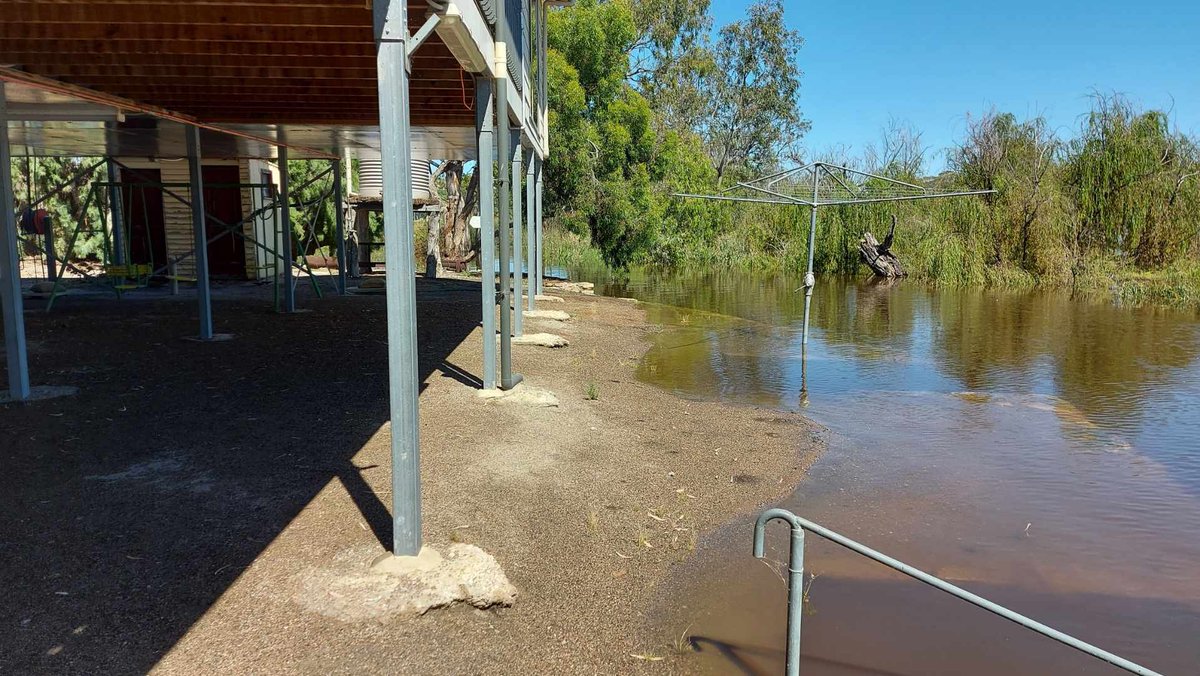 JAdamsSSDD's tweet image. Oh deary me……#adamsrepublicofcaurnamont….