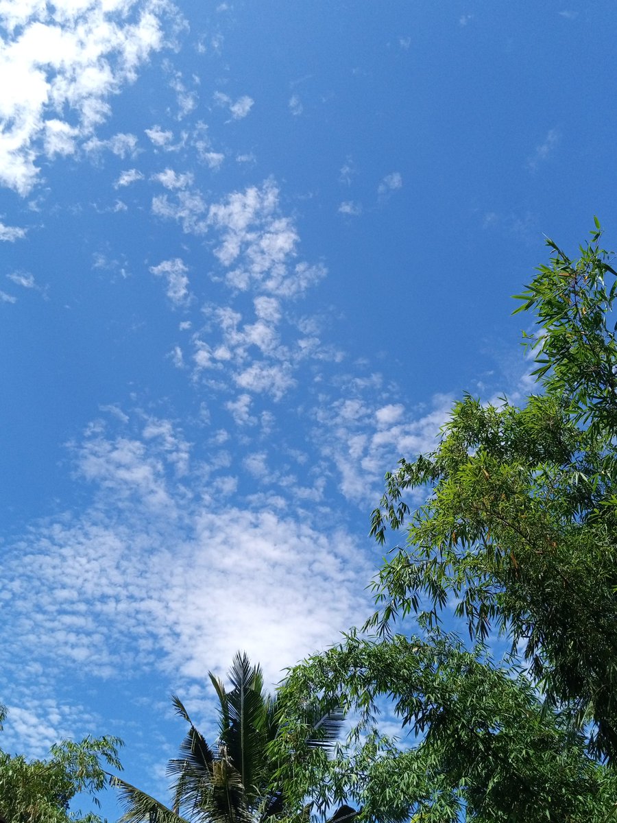 rnjna7's tweet photo. @convomf https://t.co/ZiJcpPnLMn