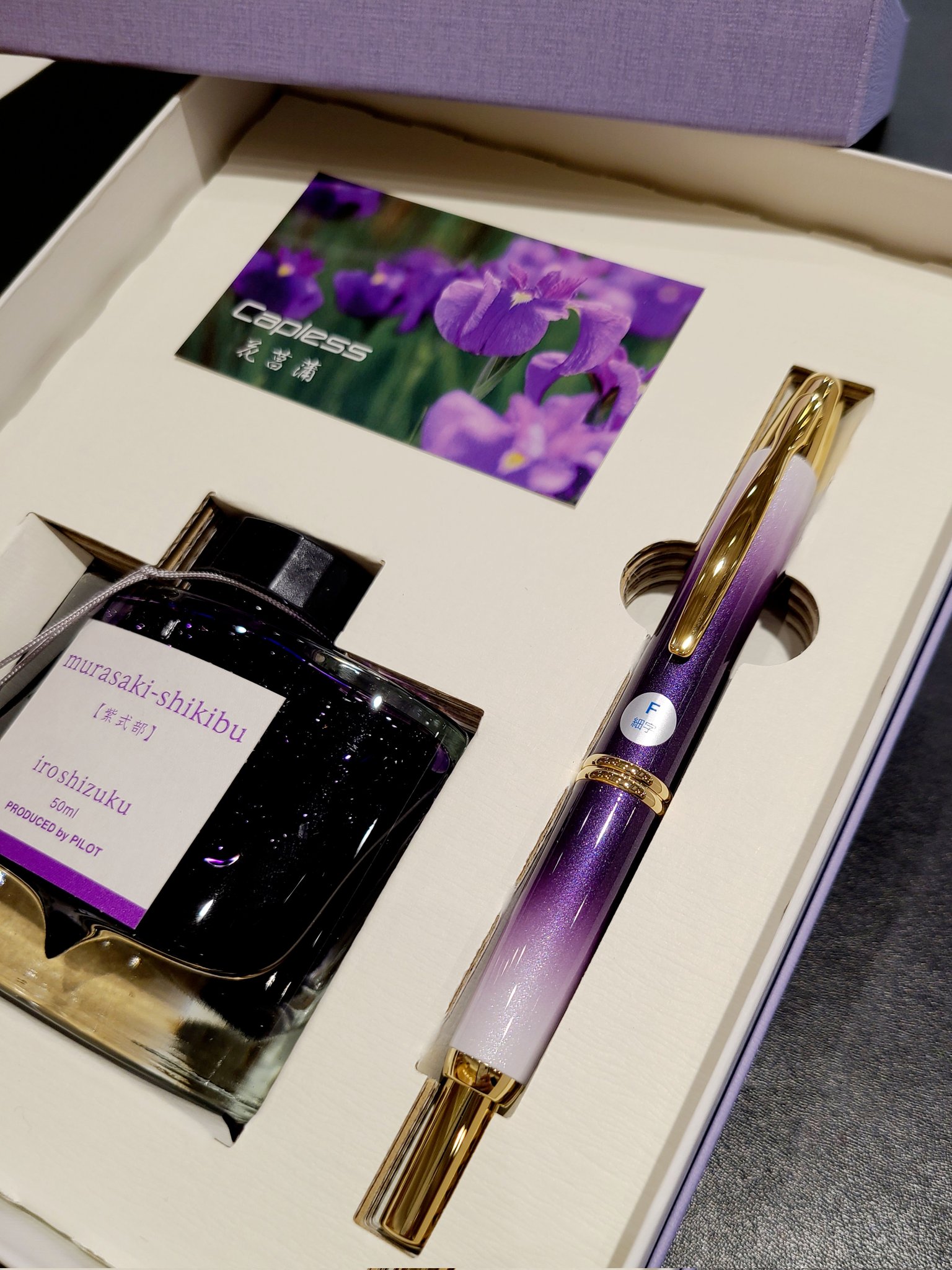 筆記具 キャップレス 万年筆 花菖蒲 限定 パイロットPilot VP FP 19950