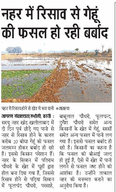 Durgesh86239941's tweet photo. #UpGovt
#CMUtterPradesh
#DeputyCMUtterUradesh
#DMBasti
#DistrictAgricultureOfficer
#ExecutiveEngineerNaharSaryuKhand4Basti
#SDMRudhauli https://t.co/dApc45Nkkz