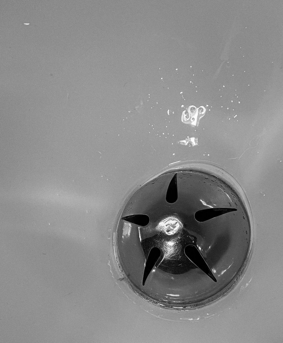 “Vivir significa rechazar. Aquel que todo lo acepta vive igual que el desagüe de un lavabo.”

Amélie Nothomb.

#photooftheday #Photography #fotografia #FOTOS #photo