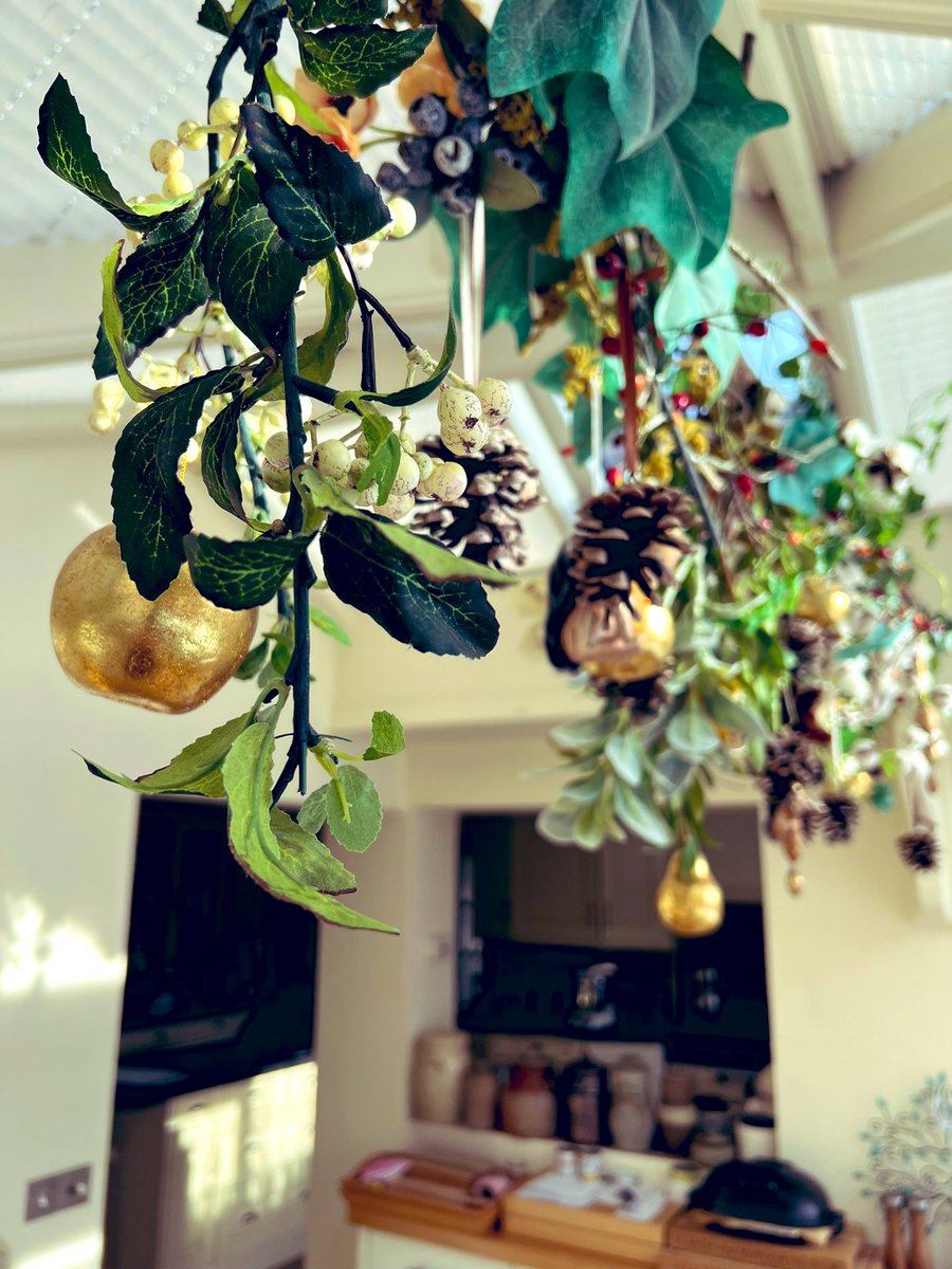 Miss Molly tweet media