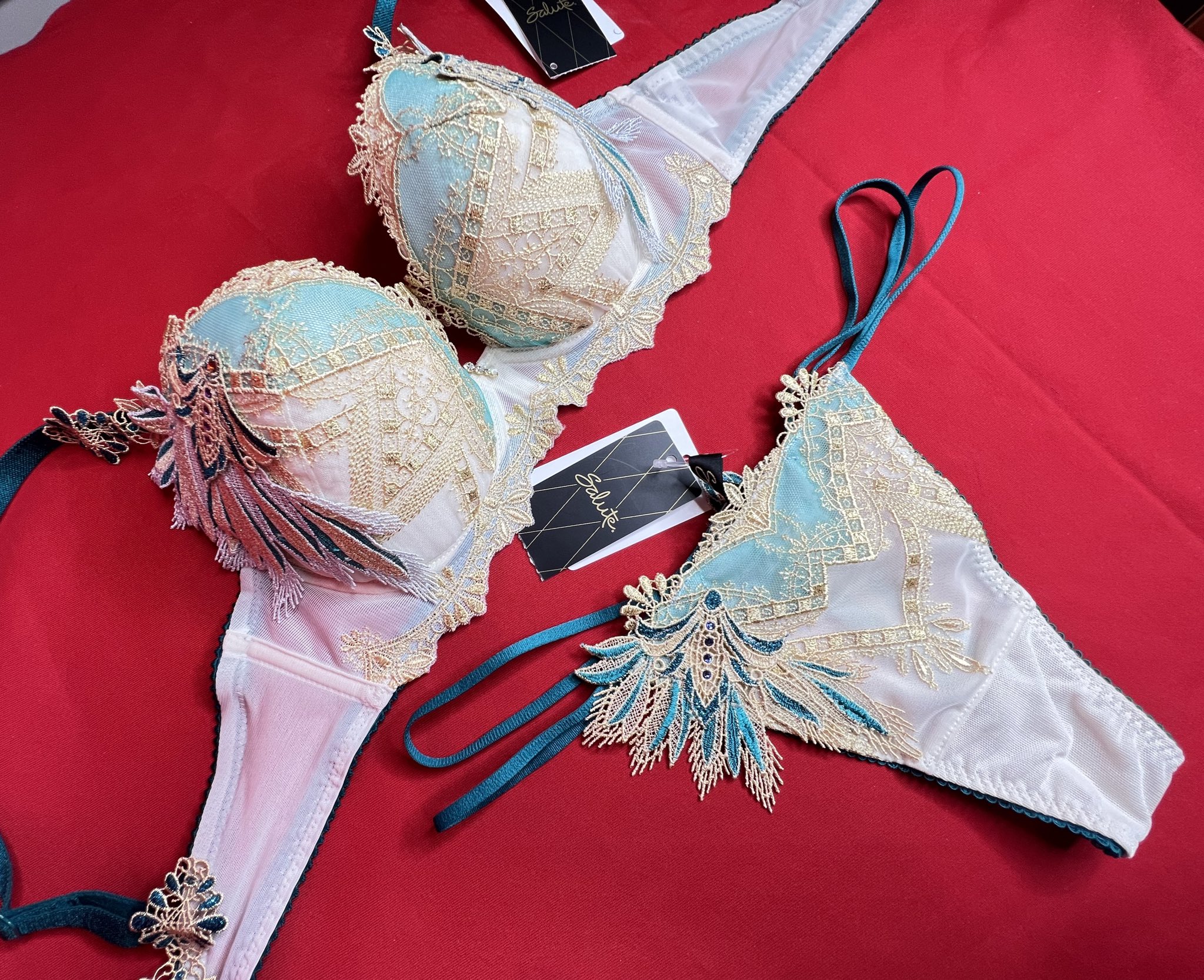 サルート 88G ブリジット ブラ D65 ソング Tバック スリップ KO