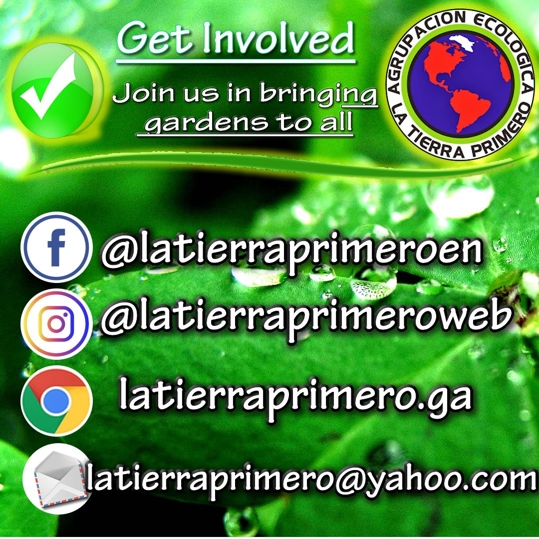 MailVerde's tweet photo. .@jahmjah  #EarthFirst!
 #Ecología
 #LaTierraPrimero
 #medioambiente
 #ecosistemas
 #EarthFirstVenezuela https://t.co/oTHpIPH2gP