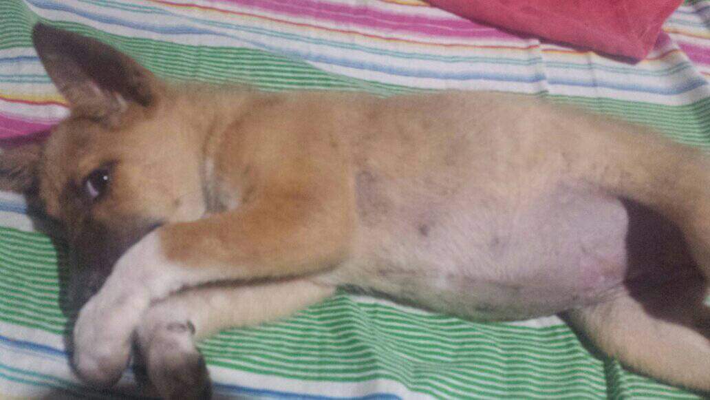 PriyanthaNanda5's tweet photo. එයාව අද මට හමු වුනේ https://t.co/BlF6kUmZdZ