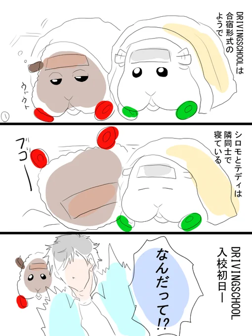 モルカー漫画描きました。少しだけ11話ネタ。次で最終回ですか……テディ姐とシロモ君と。 