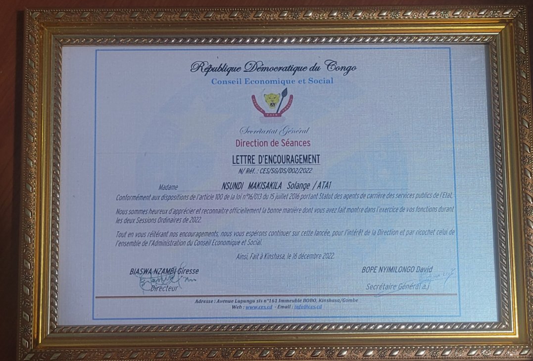 Conseil Economique et Social/ CES-RDC 🇨🇩 tweet media