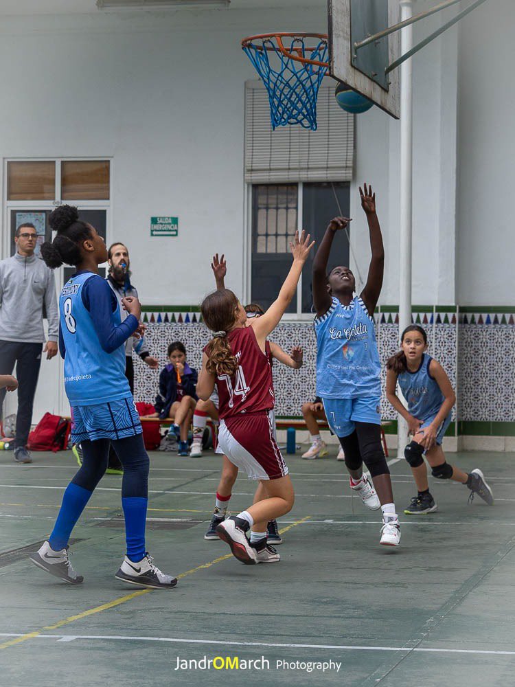 adecgoleta's tweet photo. 📌 RESULTADOS | @ecMalagaDeporte | Fase Previa 🏀

😊 Mini Femenino 4️⃣9️⃣ - 1️⃣7️⃣ @ADasuncion B

Concluimos la primera fase de la liga escolar con un competido triunfo ante un equipo muy luchador como Asuncion. Felicidades a ambos equipos 👏🏻👏🏻

#SomosTUequipo💙
#vamosgoleta🏀 https://t.co/A9r6tYUSuE