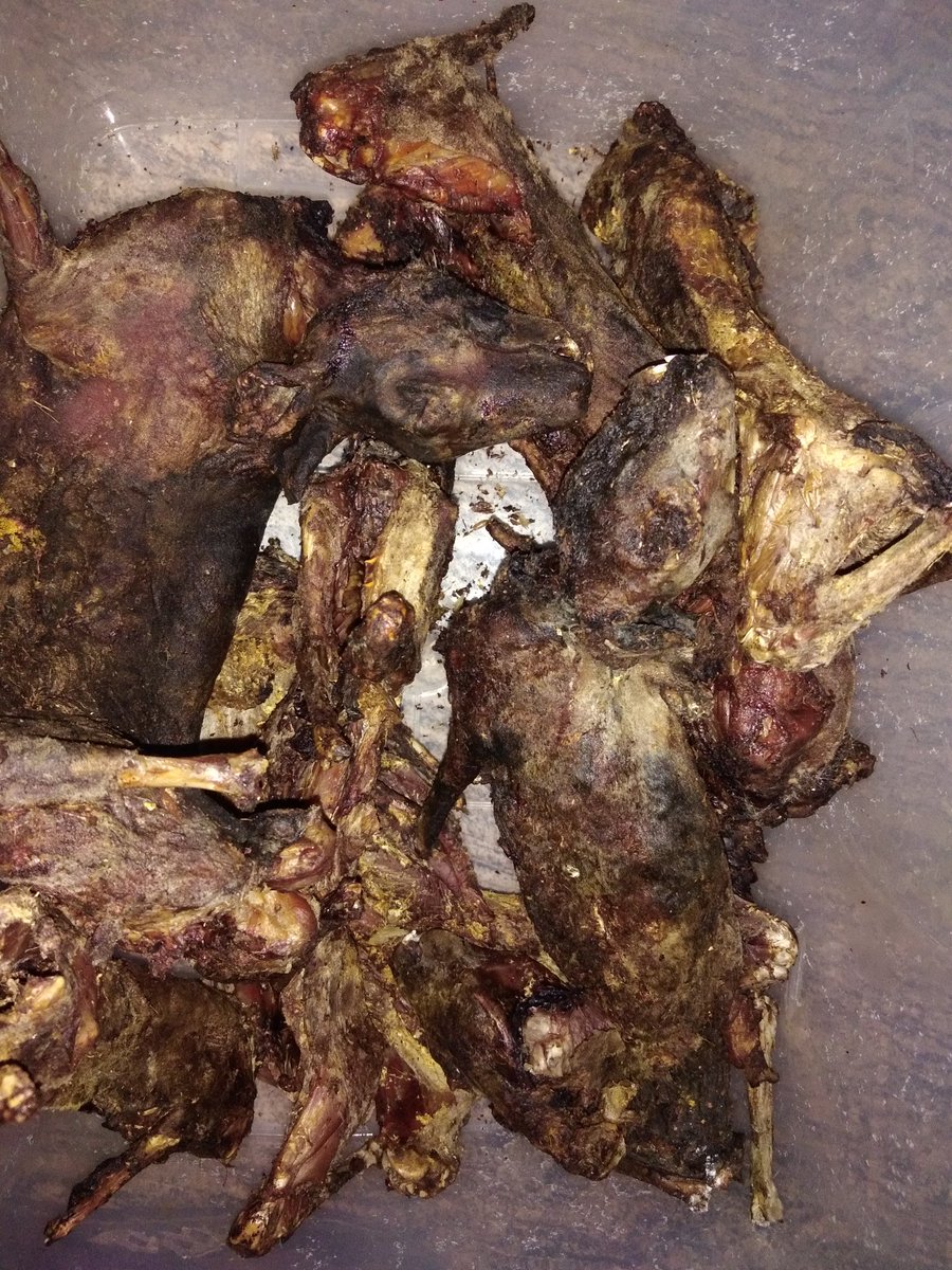 KIQuestNg's tweet image. Fact. #healthyfood #leanmeat #whitemeat