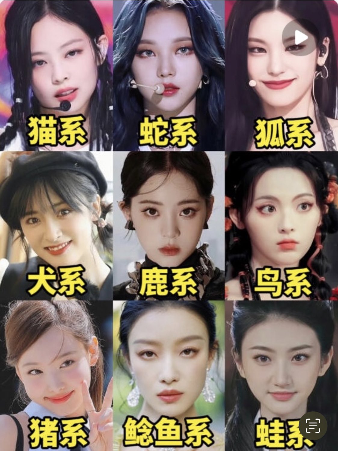 なるちゃん 切開リフト 頬骨縮小dt 中華的動物顔タイプ診断 これ次絶対流行る 濃顔系 猫 狐 蛇 淡 顔系 犬 鹿 豚 鳥 高級感系 魚 蛙 鵞鳥 の中から自分の顔タイプを判別 元ある素質を300 引き出すメイクで垢抜ける
