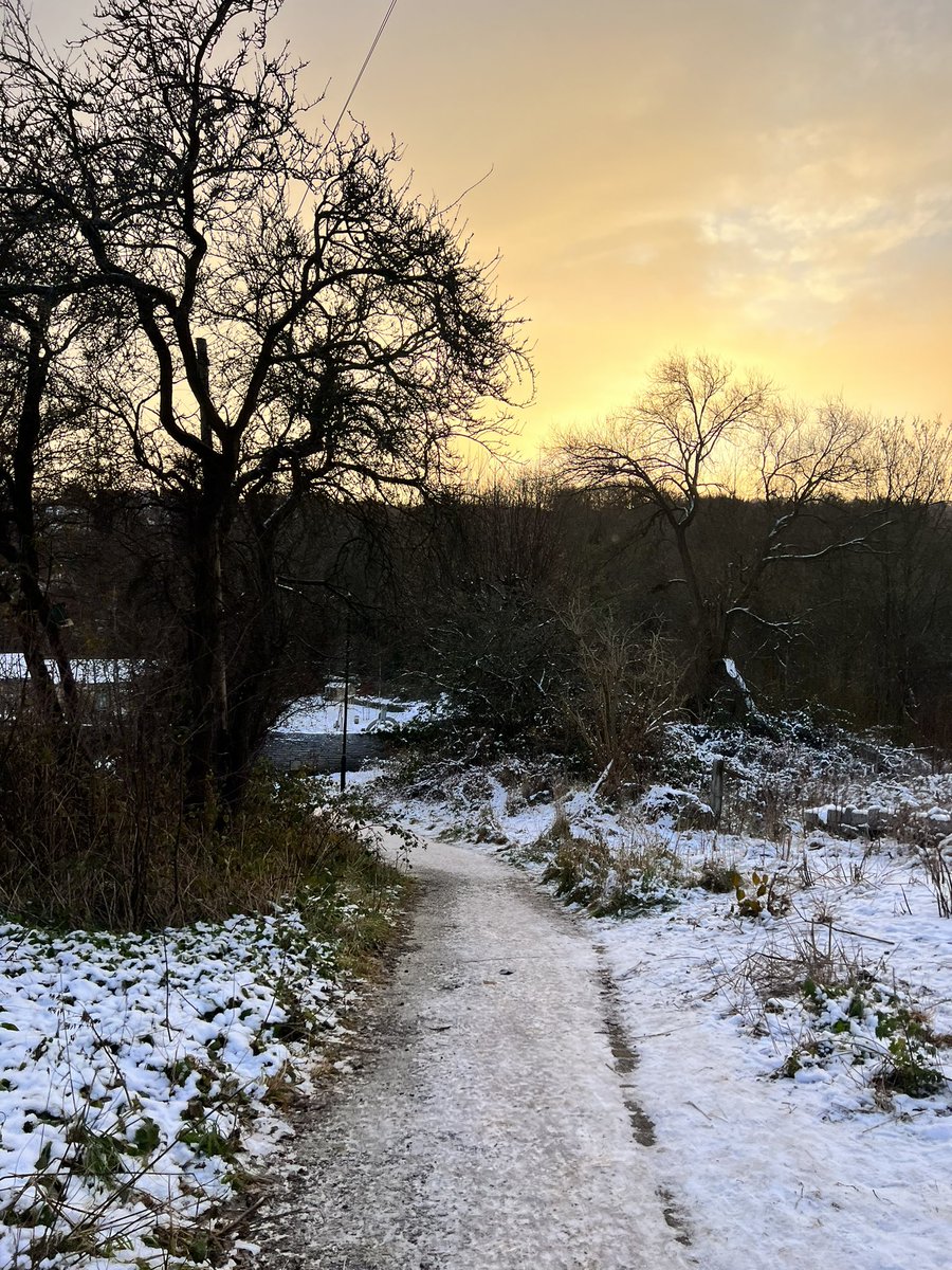 First morning walk of the Christmas holidays really does hit differently ❄️✨ #christmasbreak #teachertwitter