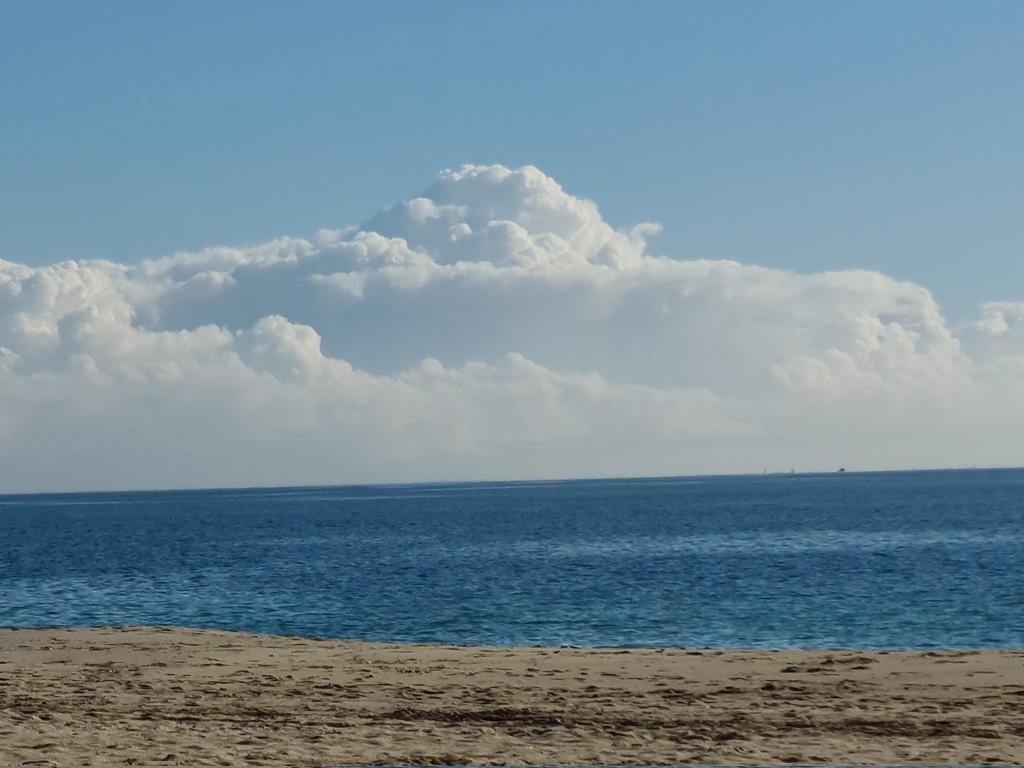 gramareus's tweet photo. Un agradable día de tardor, 14°C i un sol radiant...🌞
#cambrils #17Dec2022 #otoño @Meteo_Roses @Granada_Meteo @AlfredRPico @ecazatormentas @StormHour @SeguimlaMeteo @JRovireta @1967fct #somhi https://t.co/udy0Ovo7LY