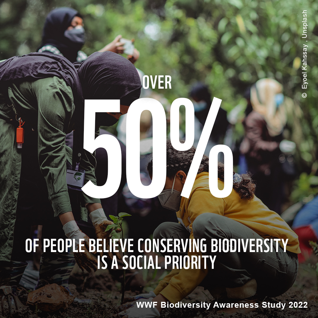 World leaders: what happens at #COP15 matters to all of us. Nature is the foundation of all that sustains us!

Healthy ecosystems clean our water, purify our air, regulate our climate, provide us with food &amp; more. We need #NaturePositive action NOW! 💚 If you agree #Connect2Earth