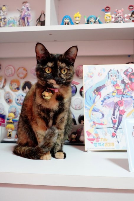 Twitterのコスプレ画像13