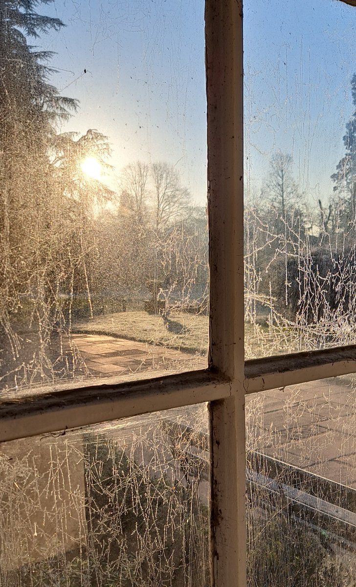 Forty_Hall's tweet photo. Icy trails on the Back Porch window at @Forty_Hall - Such a beautiful thing to find when you arrive at work in the morning! ❄️
#icy #ice #frozen #snow #fortyhall #fortyhallsnow #enfield #northlondon #enfieldsnow #londonsnow #snowinenfield #winterishere #winter #winter #wintertime https://t.co/jlVQKNFXxq