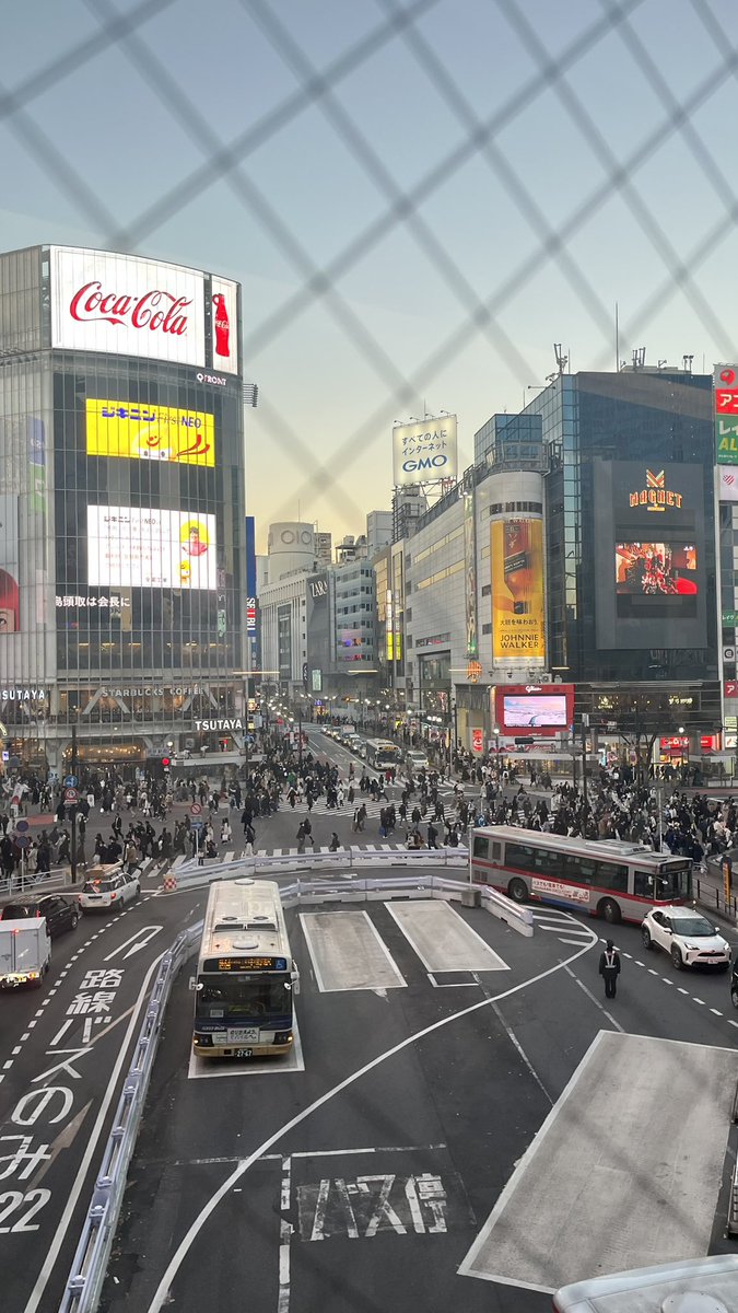 H1GHRGASM's tweet photo. Tokyo tingz 🦦 https://t.co/JDtgy95InS